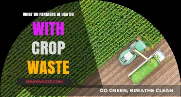 Sustainable Practices: How US Farmers Manage and Repurpose Crop Waste