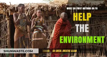 First Nations' Environmental Stewardship: Traditional Practices for a Sustainable Future