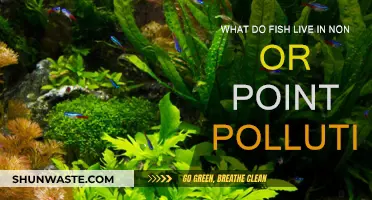 Fish and Pollution: A Safe Haven