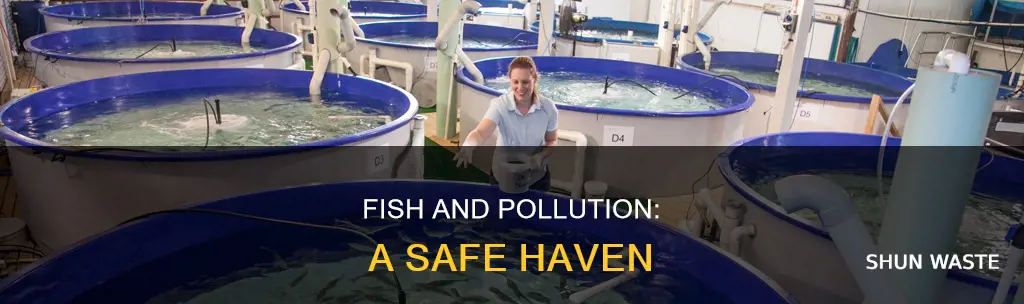 what do fish live in non or point pollution