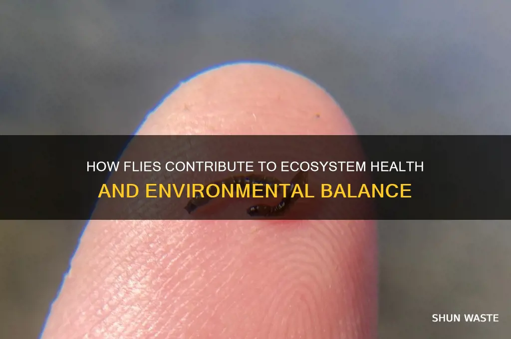 what do flies do to help the environment
