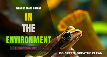 How Frogs Transform Ecosystems: Their Vital Environmental Impact Explained