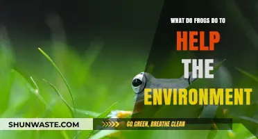 Frogs' Vital Role in Maintaining Healthy Ecosystems and Biodiversity