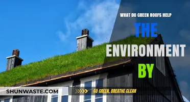 Green Roofs: Environmental Benefits and Sustainable Urban Solutions Explained