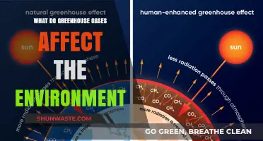 Greenhouse Gases: Unveiling Their Impact on Our Environment and Climate