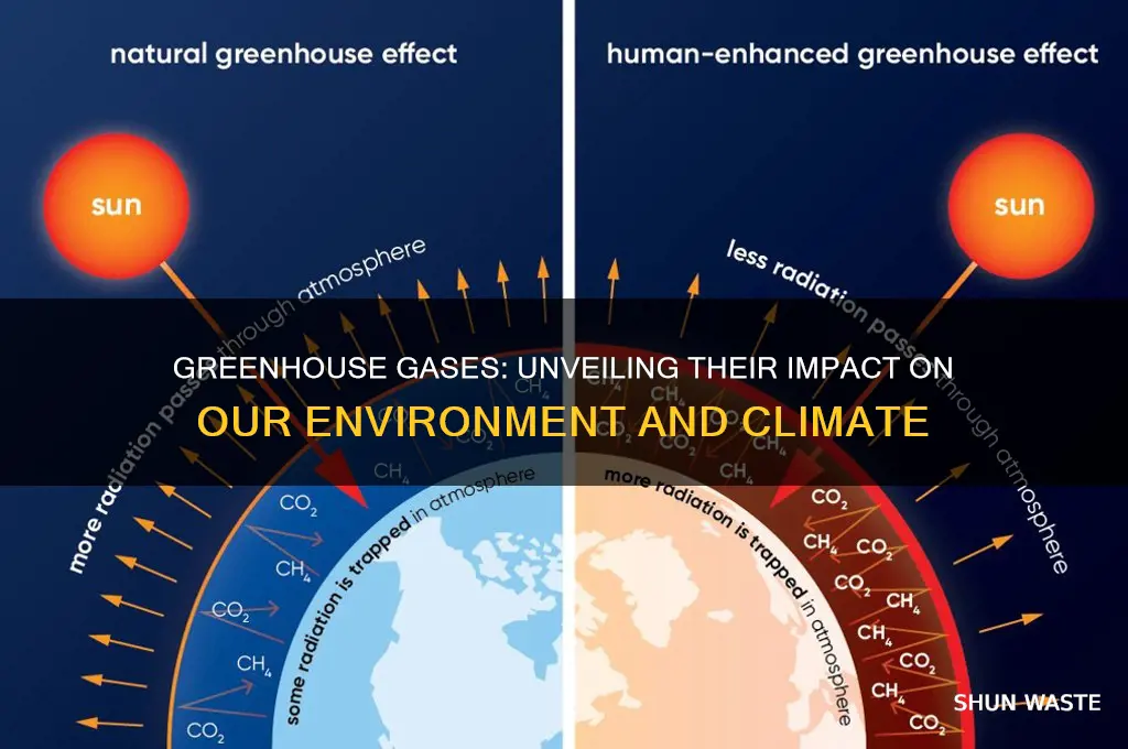 what do greenhouse gases affect the environment