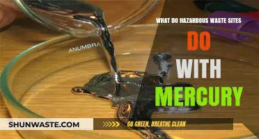 Unveiling the Fate of Mercury in Hazardous Waste Sites