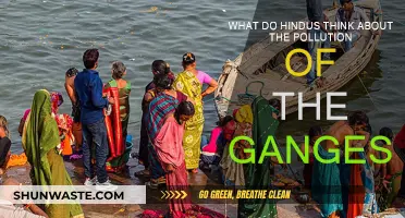 Hindus' View on the Ganges' Pollution