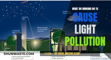 Human Activities: The Bright Side of Light Pollution