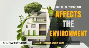 Daily Habits, Global Impact: How My Routine Affects the Environment