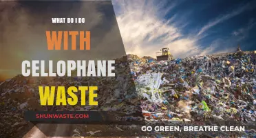 Eco-Friendly Solutions: Managing and Recycling Cellophane Waste Effectively