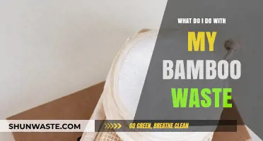 Creative Ways to Recycle and Reuse Your Bamboo Waste Sustainably