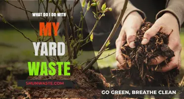 Eco-Friendly Yard Waste Solutions: Compost, Recycle, and Reuse Tips