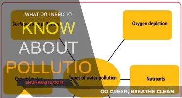 Understanding Pollution: Key Facts and Figures