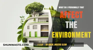 My Daily Habits: How Personal Choices Impact the Environment