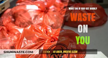 Handling Bodily Waste Accidents: Quick, Safe, and Hygienic Cleanup Tips