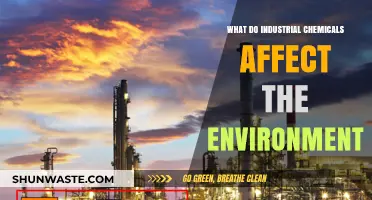 Industrial Chemicals: Environmental Impact and Long-Term Ecological Consequences