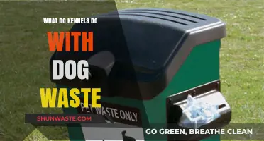 How Kennels Manage and Dispose of Dog Waste Responsibly