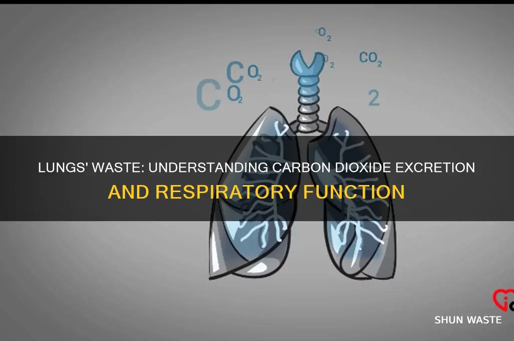 what do lungs excrete as a waste product
