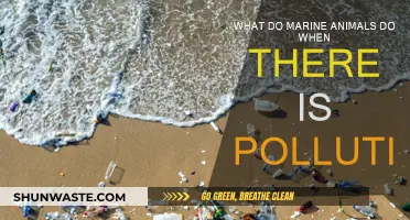 Marine Life's Response to Pollution