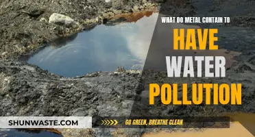 Metals and Water: Unveiling the Hidden Pollutants