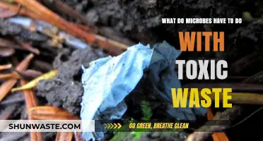 Microbes' Role in Breaking Down Toxic Waste: Unseen Cleanup Heroes