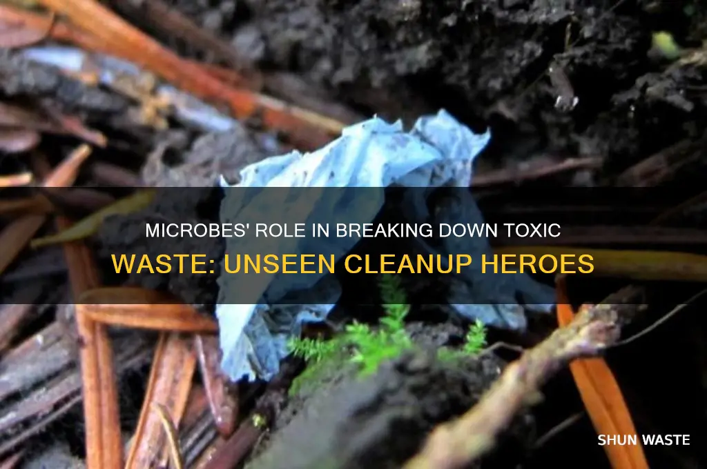 what do microbes have to do with toxic waste