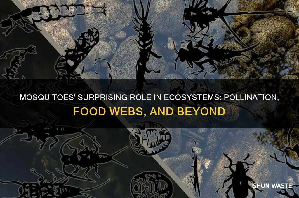 what do mosquitoes do to help the environment