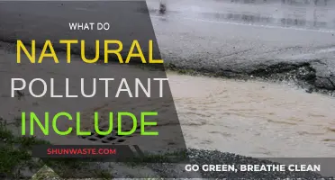 Natural Pollutants: What's Harming Our Environment?