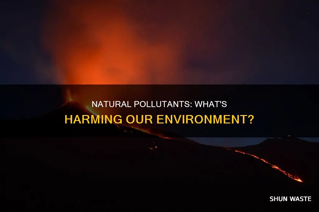 what do natural pollutants include