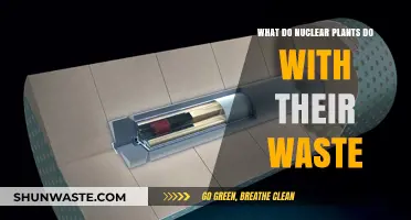 Nuclear Waste Management: How Power Plants Handle Their Byproducts