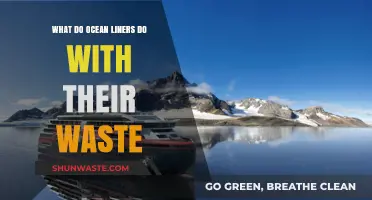 Ocean Liners' Waste Management: How Ships Handle Garbage at Sea