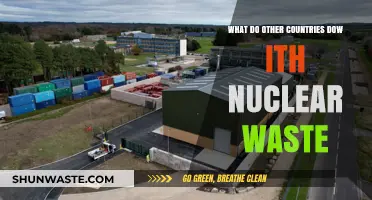 Global Strategies: How Nations Manage and Dispose of Nuclear Waste