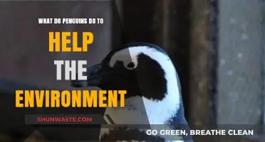 Penguins' Eco-Friendly Role: How They Contribute to a Healthier Planet