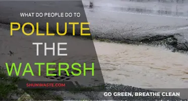 Human Activities Polluting Our Watersheds