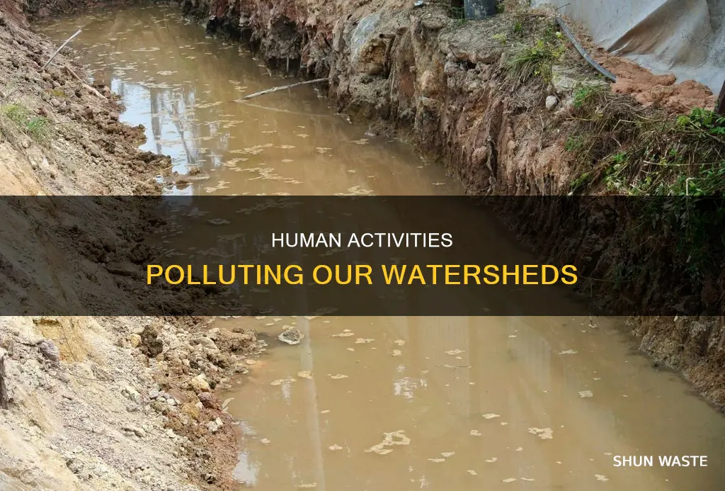 what do people do to pollute the watershed