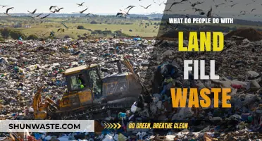 Transforming Trash: Innovative Uses for Landfill Waste Explored