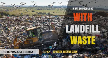 Transforming Trash: Innovative Uses for Landfill Waste Explained