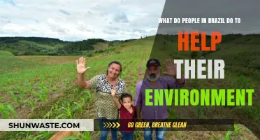 Sustainable Practices: How Brazilians Protect Their Environment Daily