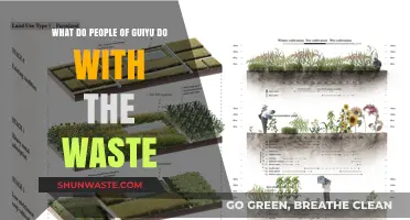 Guiyu's E-Waste Dilemma: Recycling, Health Risks, and Local Livelihoods