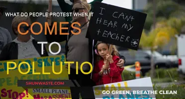 Pollution Protests: People Power Against Environmental Injustice