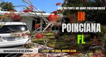 Poinciana's Water Quality: Local Concerns and Solutions