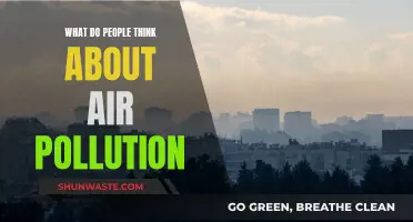 Air Pollution: What's the Public Sentiment?