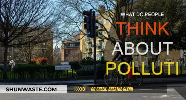 Thoughts on Pollution: Public Perception and Reality