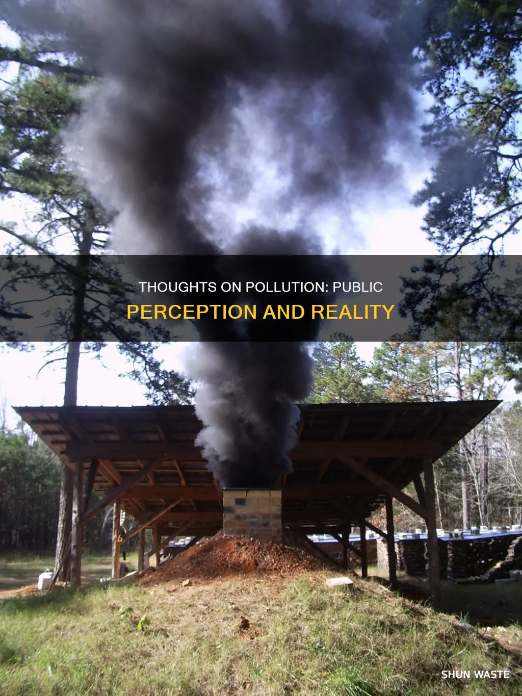 what do people think about pollution