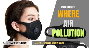 Air Pollution: What's the Harm and How to Protect Yourself?