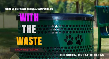 Pet Waste Disposal: How Removal Companies Handle and Process Poop