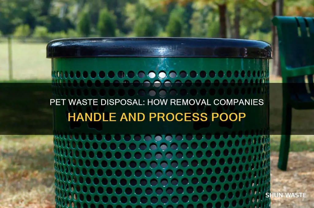 what do pet waste removal companies do with the waste