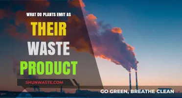 Unveiling Plant Waste: Surprising Emissions Beyond Oxygen and Water
