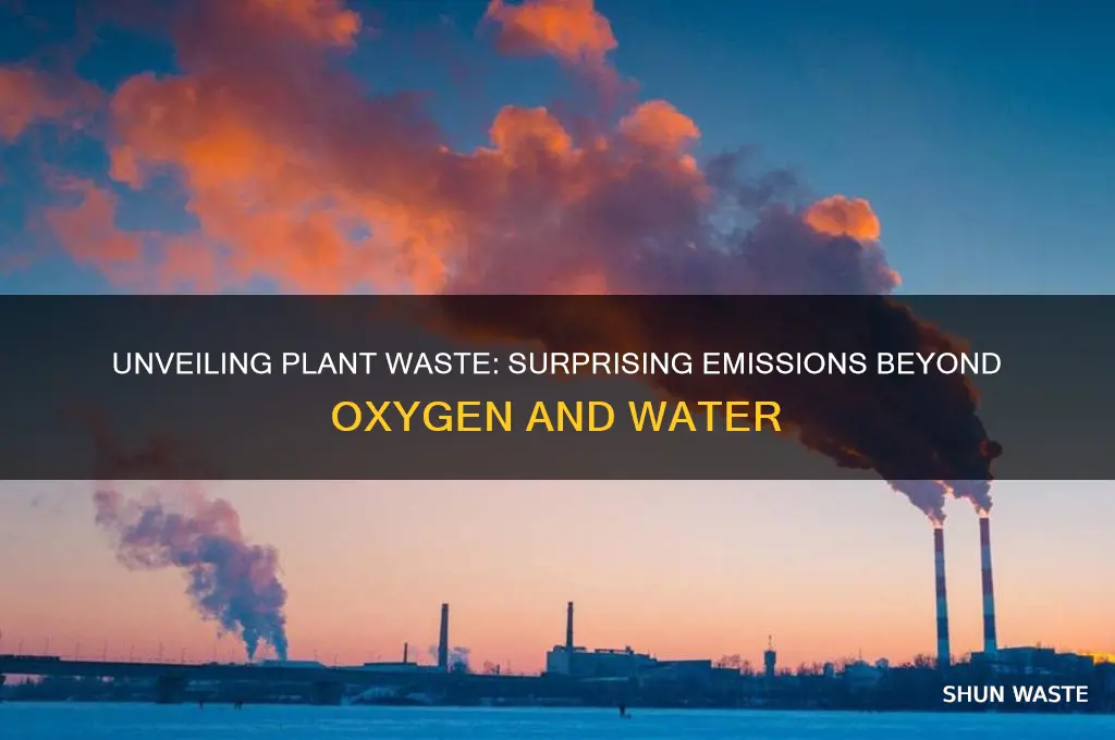 what do plants emit as their waste product